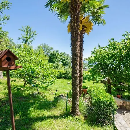 Zeljko Apartman